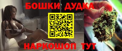 индика Лесосибирск