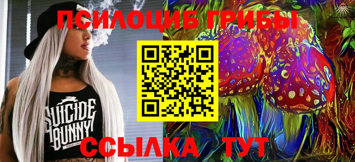 Егорьевск  Галлюциногенные грибы MAGIC MUSHROOMS  Вход с VPN 